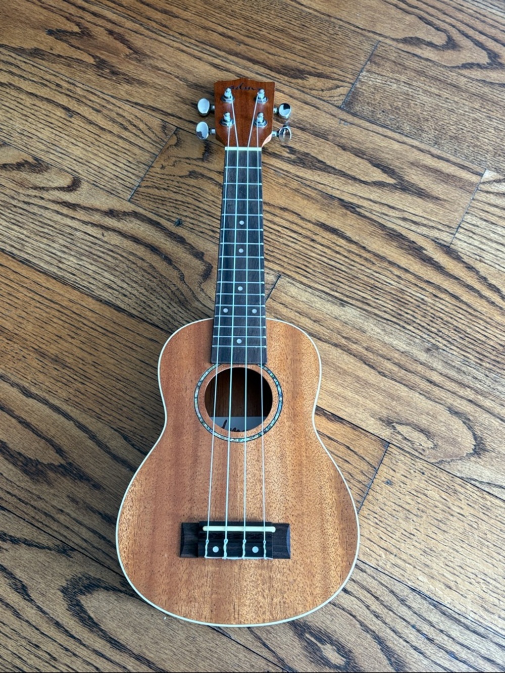 Ukulele + pouch + pick set